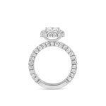 halo stiliaus ziedas su deimantaisx